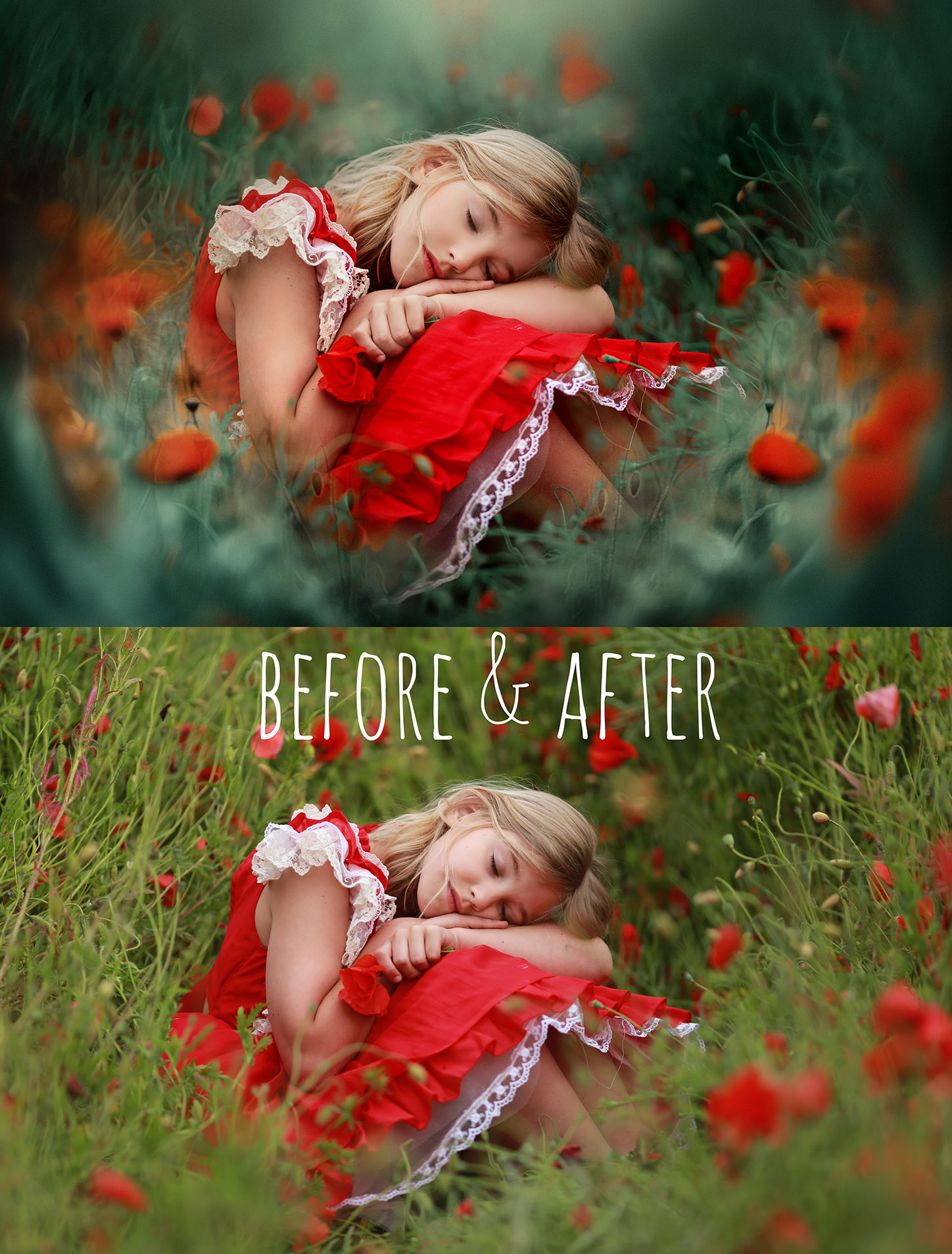 "RED POPPIES" Digital Backgrounds & Overlays - Image 5