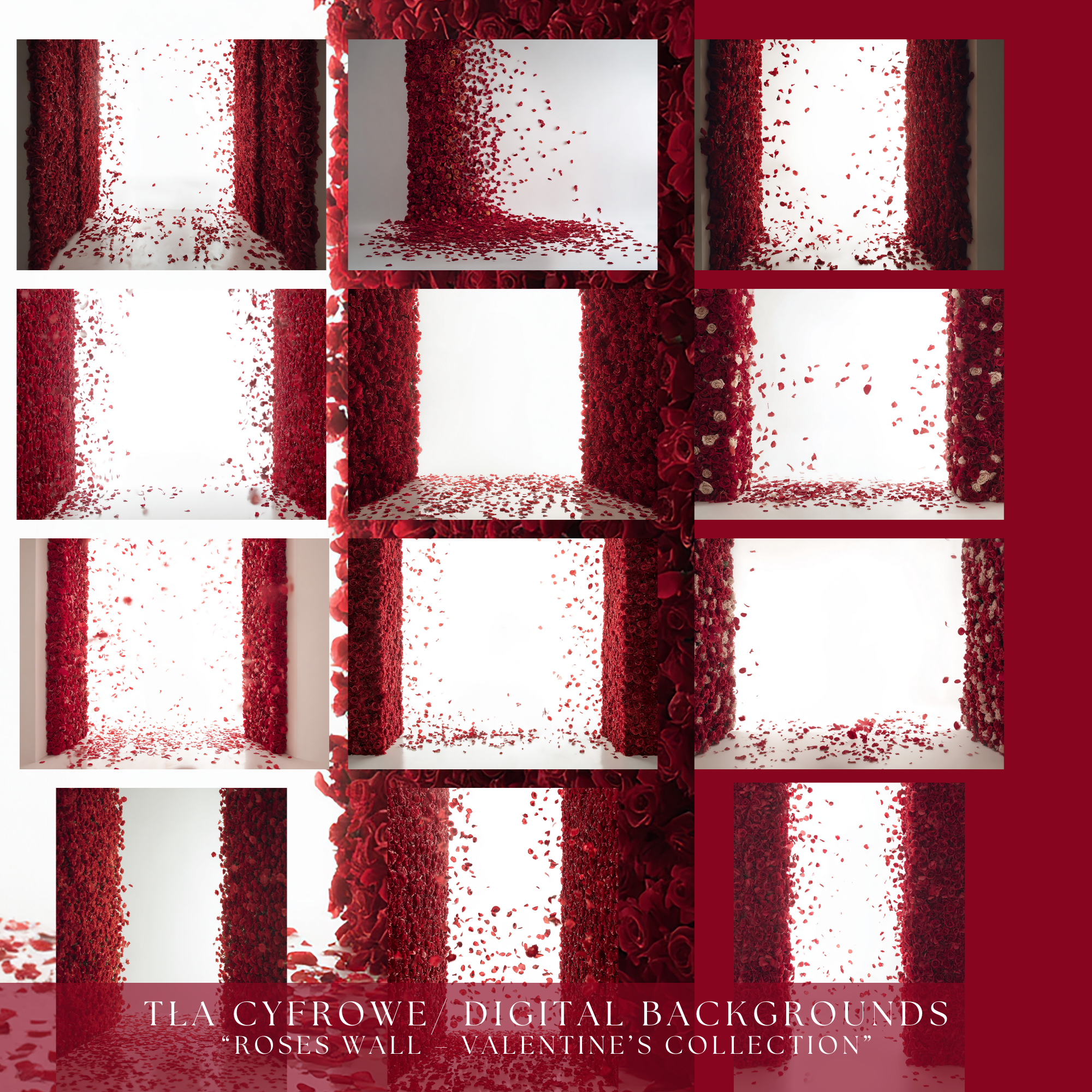 Roses Wall – Digital Backgrounds - Image 5